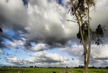 世界杯在哪买 -奥特维申请光伏电池(chí)片質(zhì)量(liàng)分析方法专利，利用節(jié)点权重计算风险数值确定影(yǐng)响因素