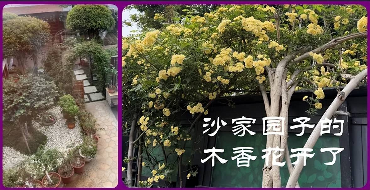 4.07股市早8点丨外盘，今夜万众瞩目！